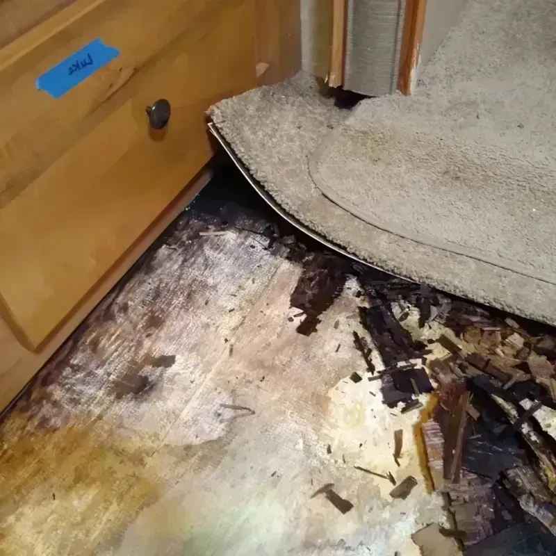 Wood Floor Water Damage in West Chicago, IL